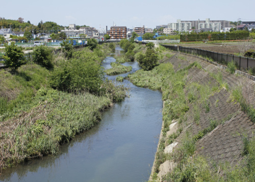 早渕川の画像