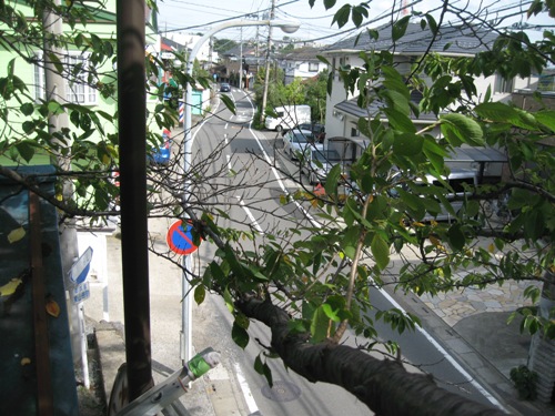 中原街道-不動上から山田小下方向