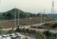 川和富士の画像