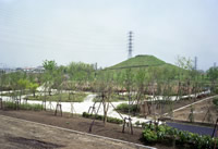 川和富士公園の画像