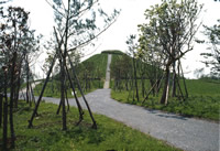 川和富士公園の画像