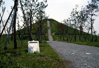 川和富士公園の画像