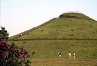 川和富士公園の画像