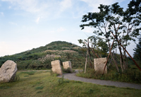 川和富士公園の画像