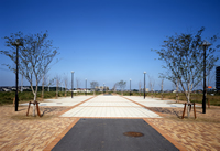 都筑ふれあいの丘駅前の画像