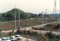 川和中学校から川和富士を眺むの画像