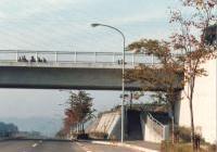 見花山交差点から川和町方面を眺むの画像