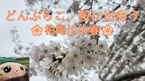 20260401の画像