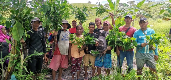 Árbol que planta en Mindanao Filipino