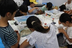 Microplastic survey experience photo