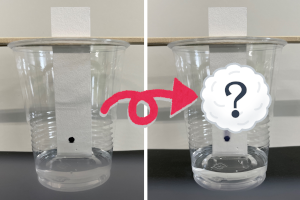 水性ペンで印をつけた紙を水に浸している様子