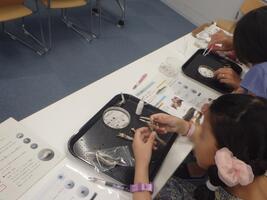 にぼしを実際に解剖する様子