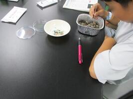 調査体験の様子