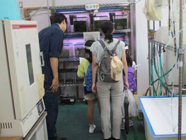 水槽展示の様子