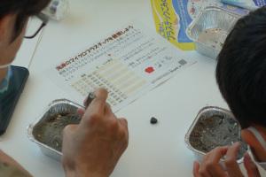 マイクロプラスチックを観察している様子