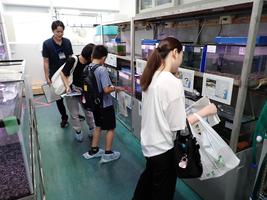 水槽展示の様子