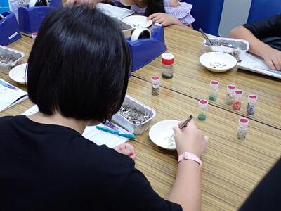 砂からマイクロプラスチックを探し出している様子。