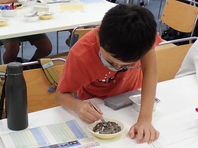 マイクロプラスチックを探している様子