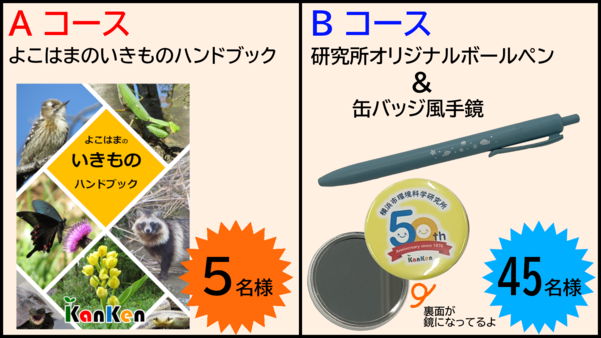 謎解きの答えを応募すると景品が当たります