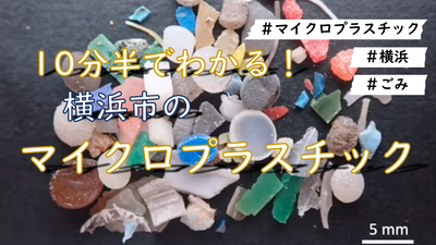 橫濱市內的微塑料