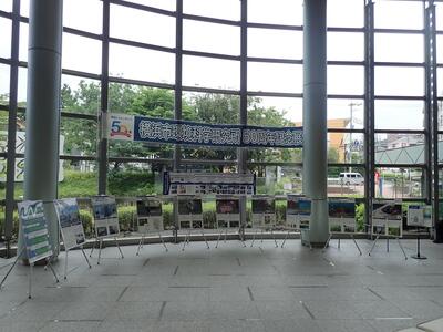 パネル展示の全体を写した様子
