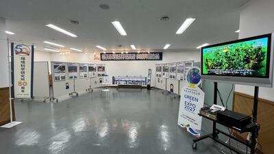展示会場全体を写した写真です。動画の上映も行いました。