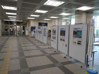 区役所から公会堂へつながる経路にそってパネルを展示しました。
