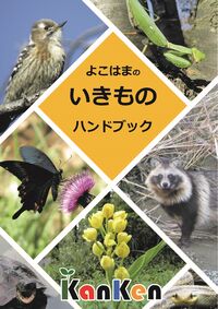 Figure of Yokohama's Creature Handbook