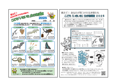 調査票のイメージ図