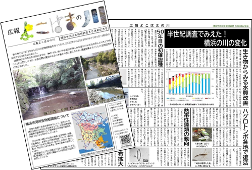 広報よこはまの川のイメージ
