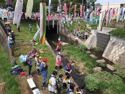 This is a photo of environmental awareness through the Koinobori Festival.