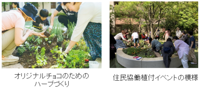 セントワーフ横濱 管理組合 グリーンプロジェクトの活動の様子