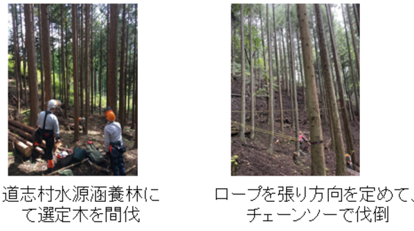 道志間伐材活用横浜サポート隊の活動の様子