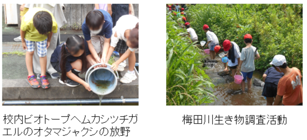 横浜市立新治小学校の活動の様子