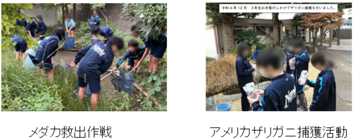 横浜市立南希望が丘中学校 ビオトープ委員会の活動の様子