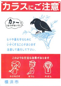 カラスが子育てしている絵が掲載された注意喚起ポスター