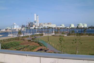 海の見える公園