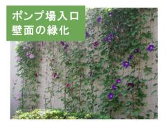 壁面緑化写真