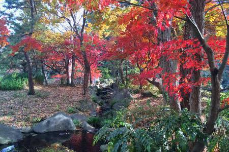 秋には素晴らしい紅葉の写真