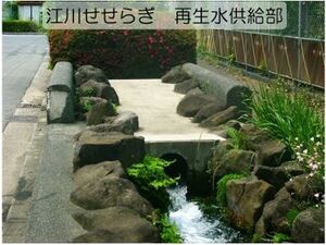 江川せせらぎ
