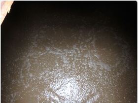 反応タンクの中