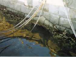 Fotografía de la autoridad de relación norte Ooka la más bajo parte de una boca de agua de río