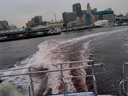 赤潮が発生した横浜の海の写真