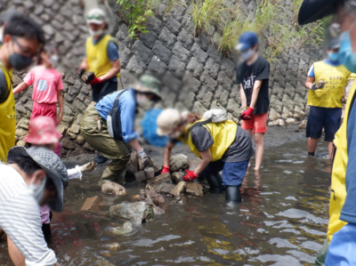 石組み水制工を作成しています。