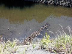 令和３年度第３回宮川派遣