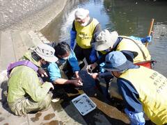 生物調査の様子