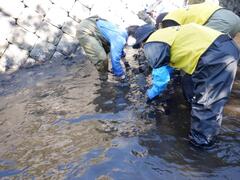 石組棲み家づくりの風景