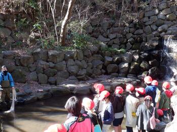 環境学習の様子