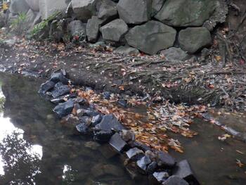 完成した石組み水制工