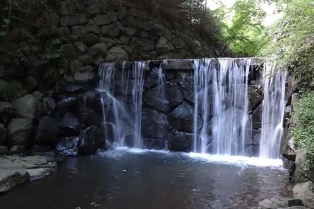 白糸の滝と呼ばれている小さな滝の写真